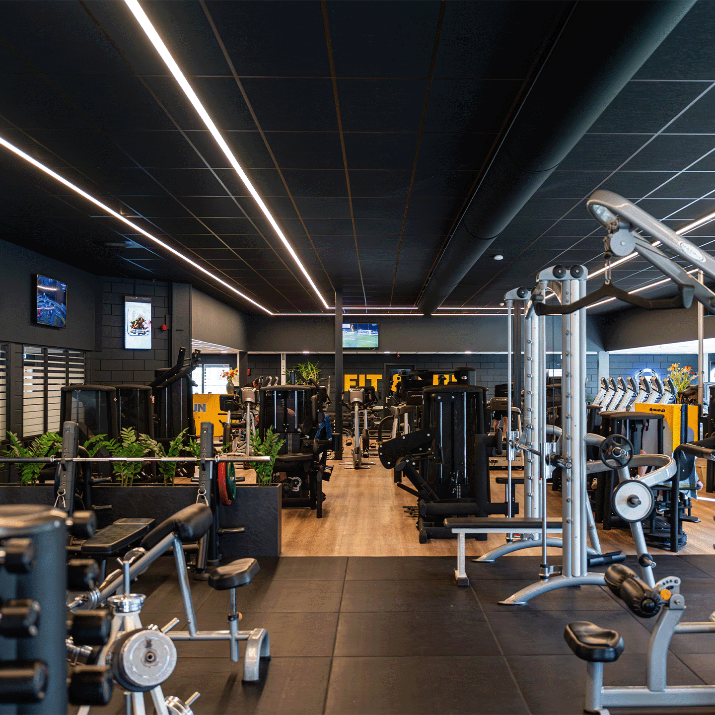 Contact - We Build Gyms - Fit & Fun