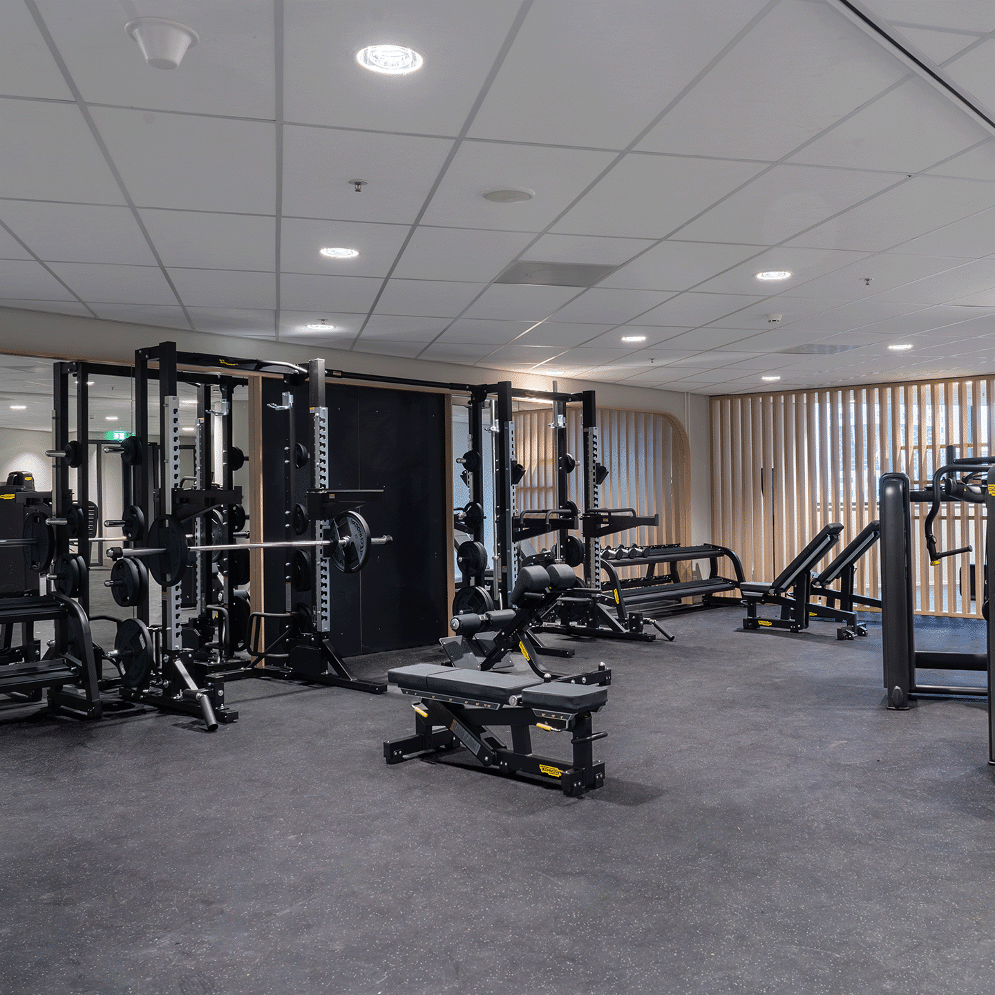 Over ons - Turnkey Gym Partner | We Build Gyms