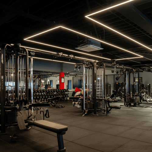 Gym Inrichten - Sectoren - We Build Gyms